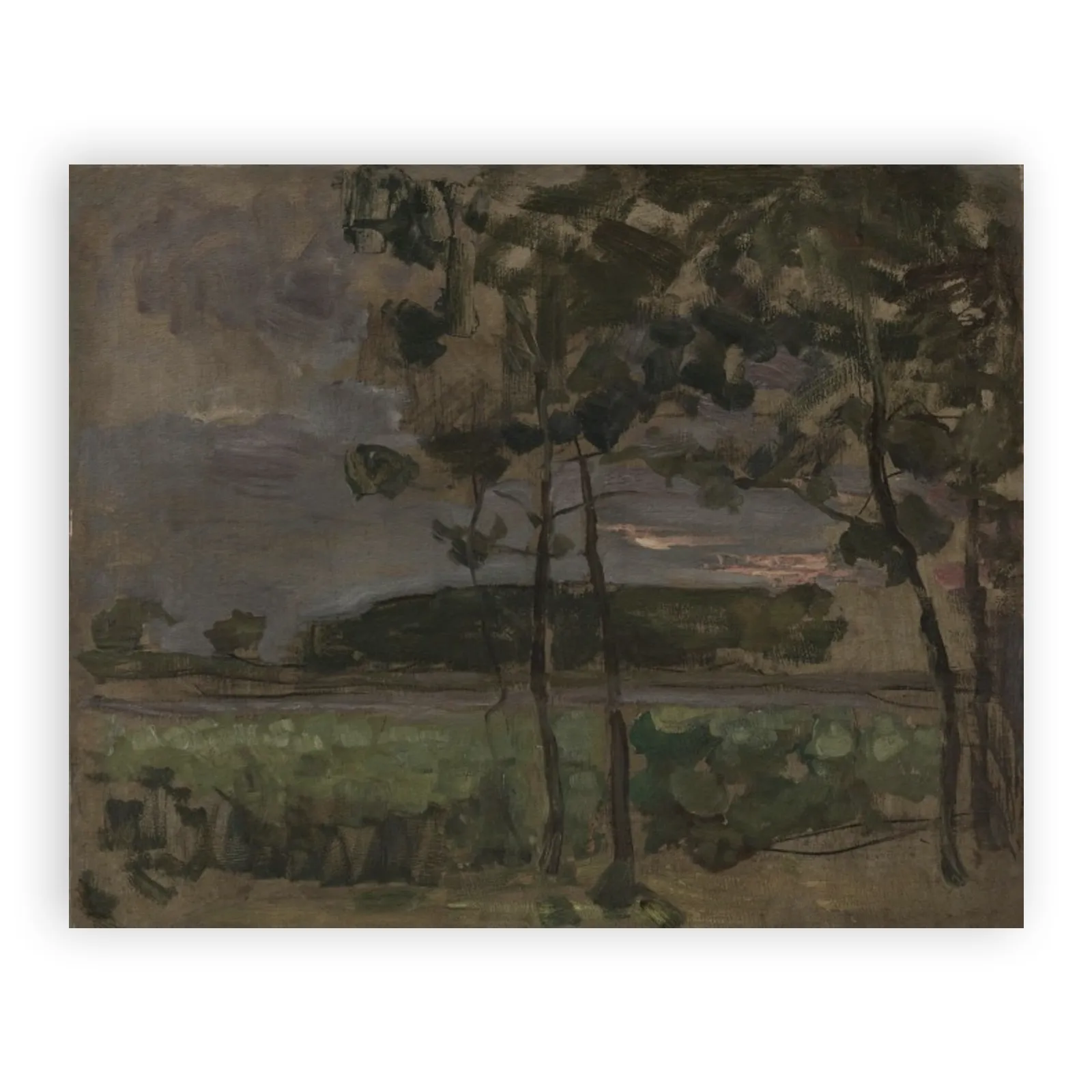 Field with Young Trees in the Foreground by Piet Mondrian - view 6 thumbnail