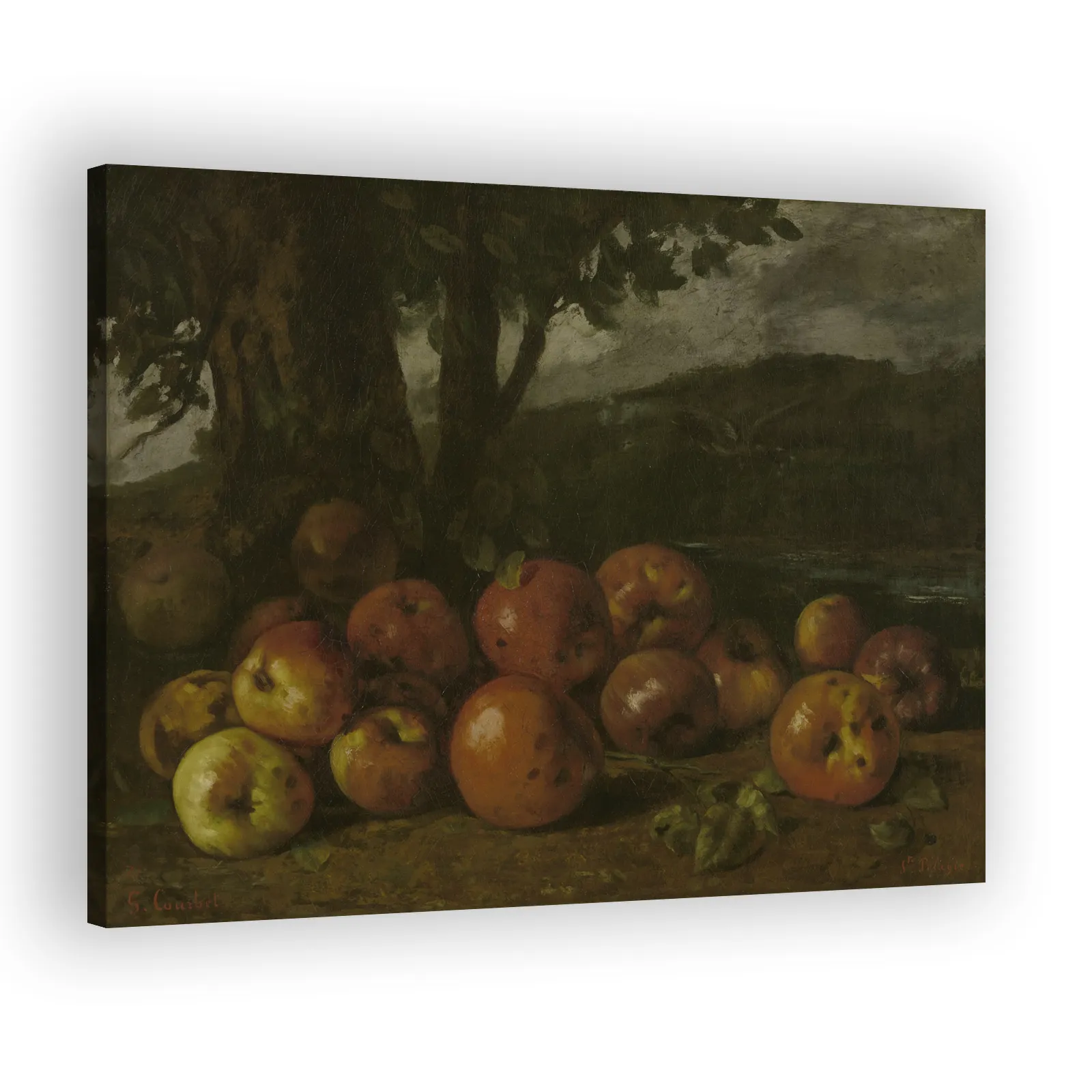 Still Life with Apples by Gustave Courbet - view 2 thumbnail