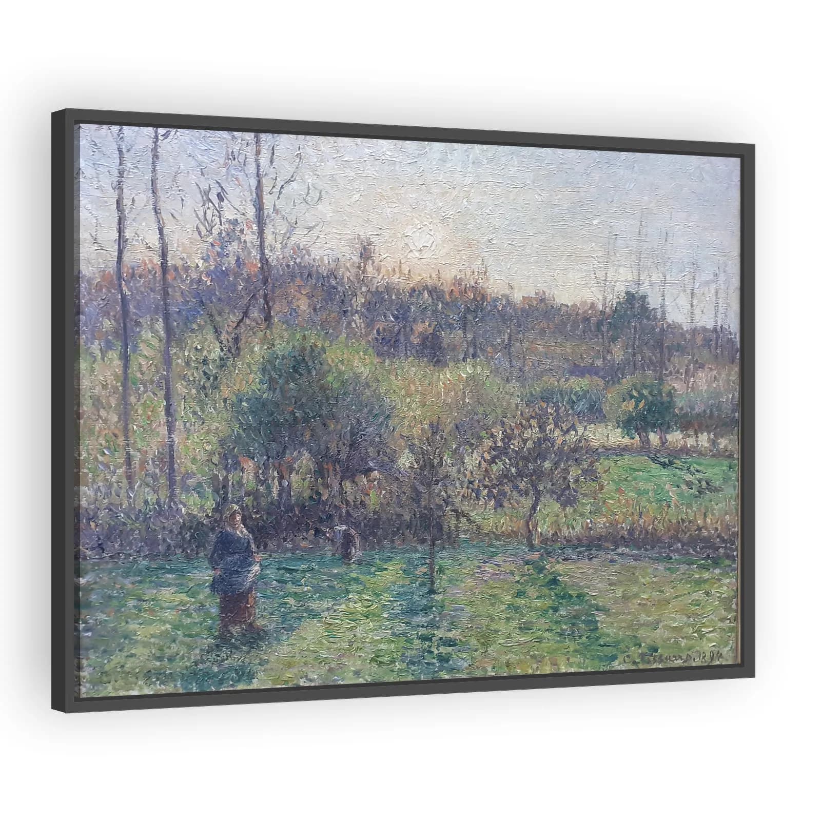 À Eragny, dans mon pré, soleil couchant by Camille Pissarro