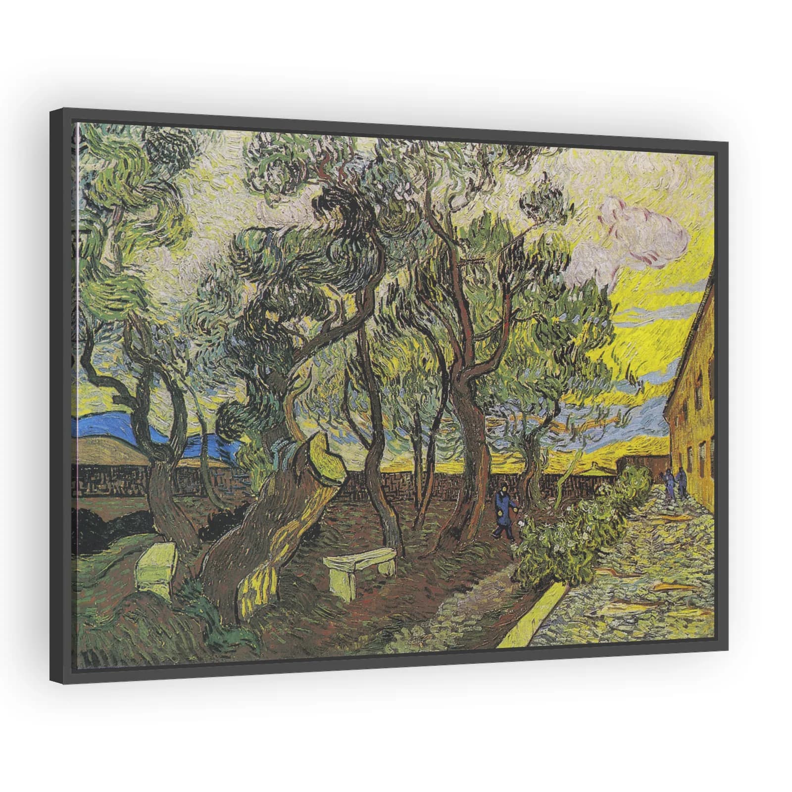 The Garden of St. Paul's Hospital by Vincent Van Gogh