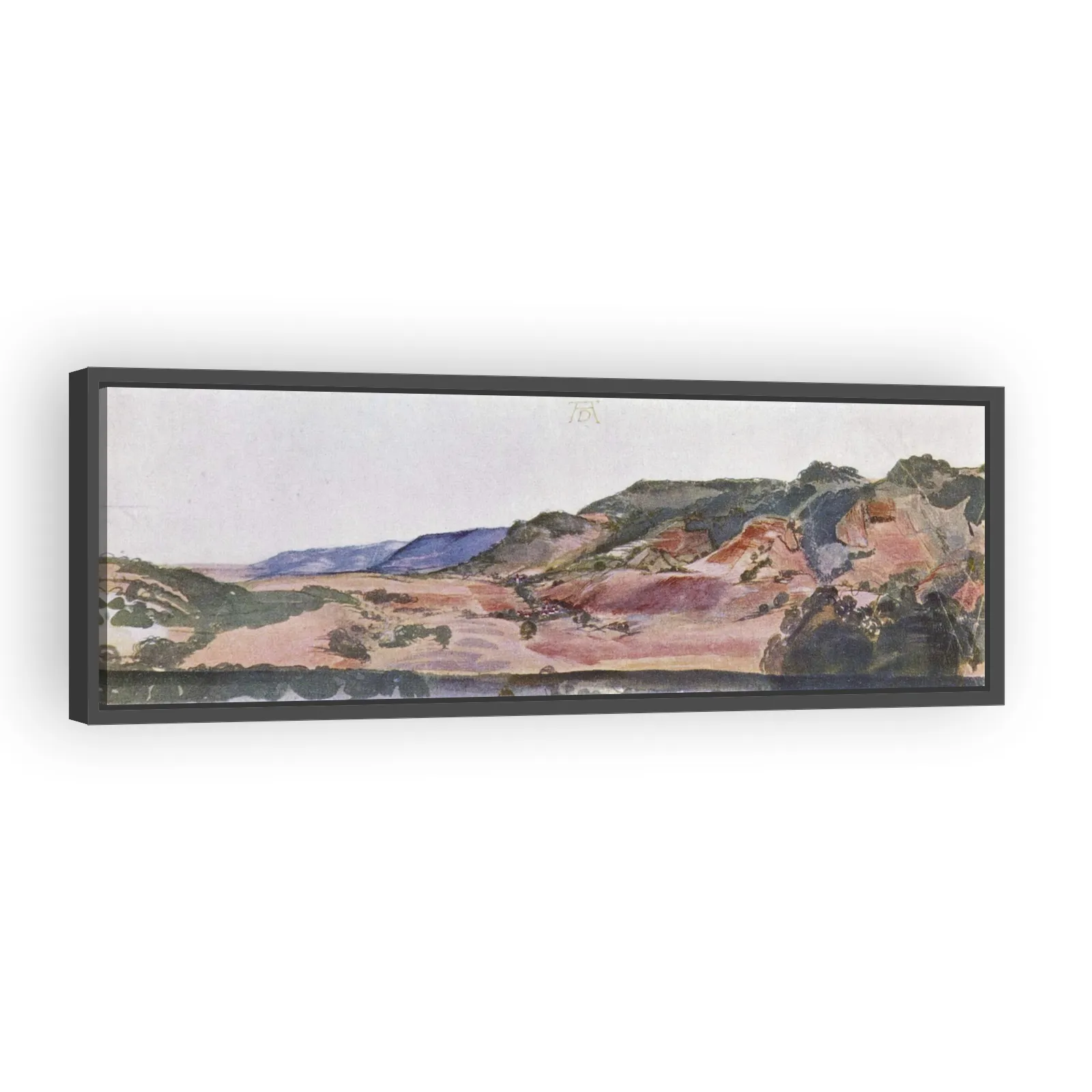 unknown by Albrecht Durer