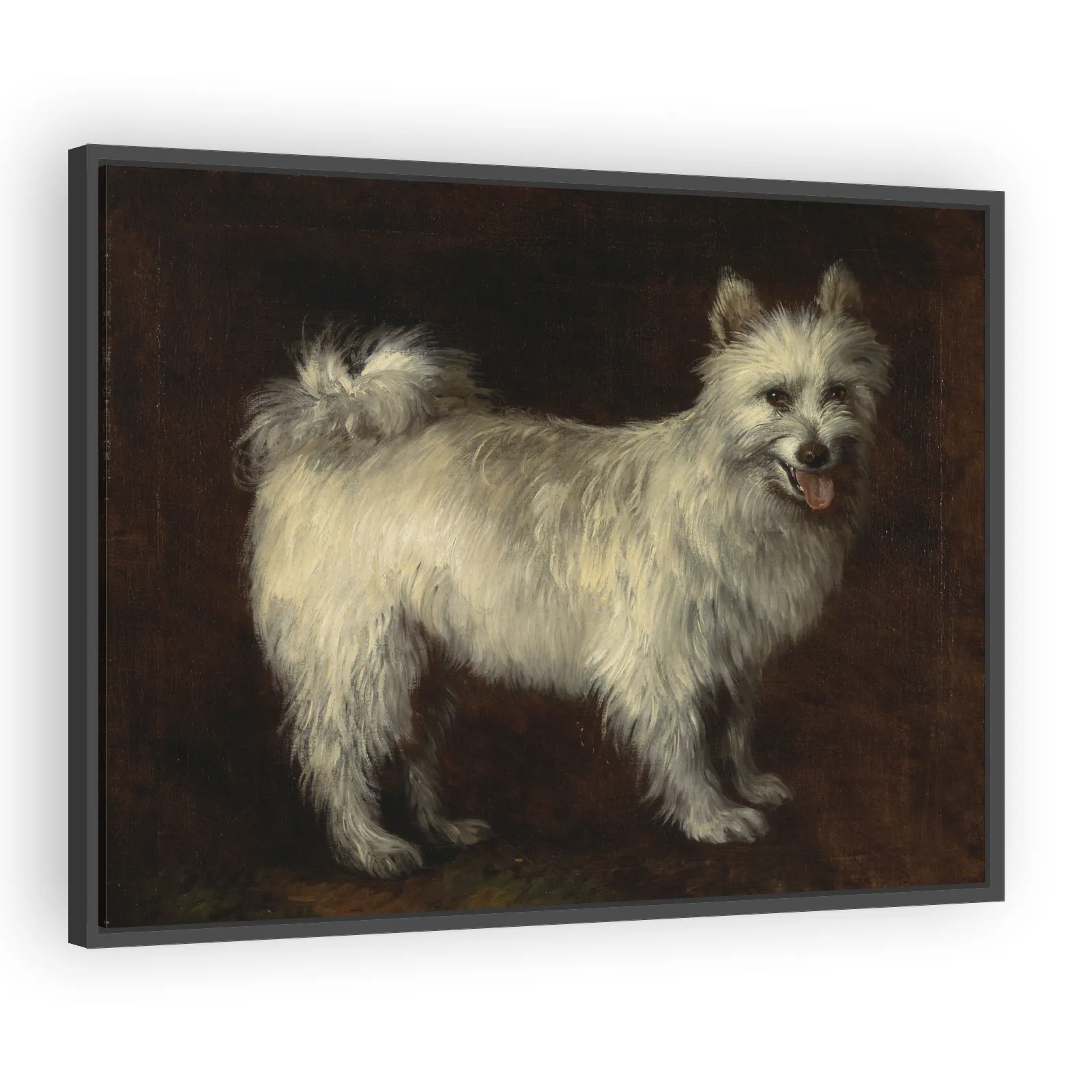 Spitz Dog by Thomas Gainsborough