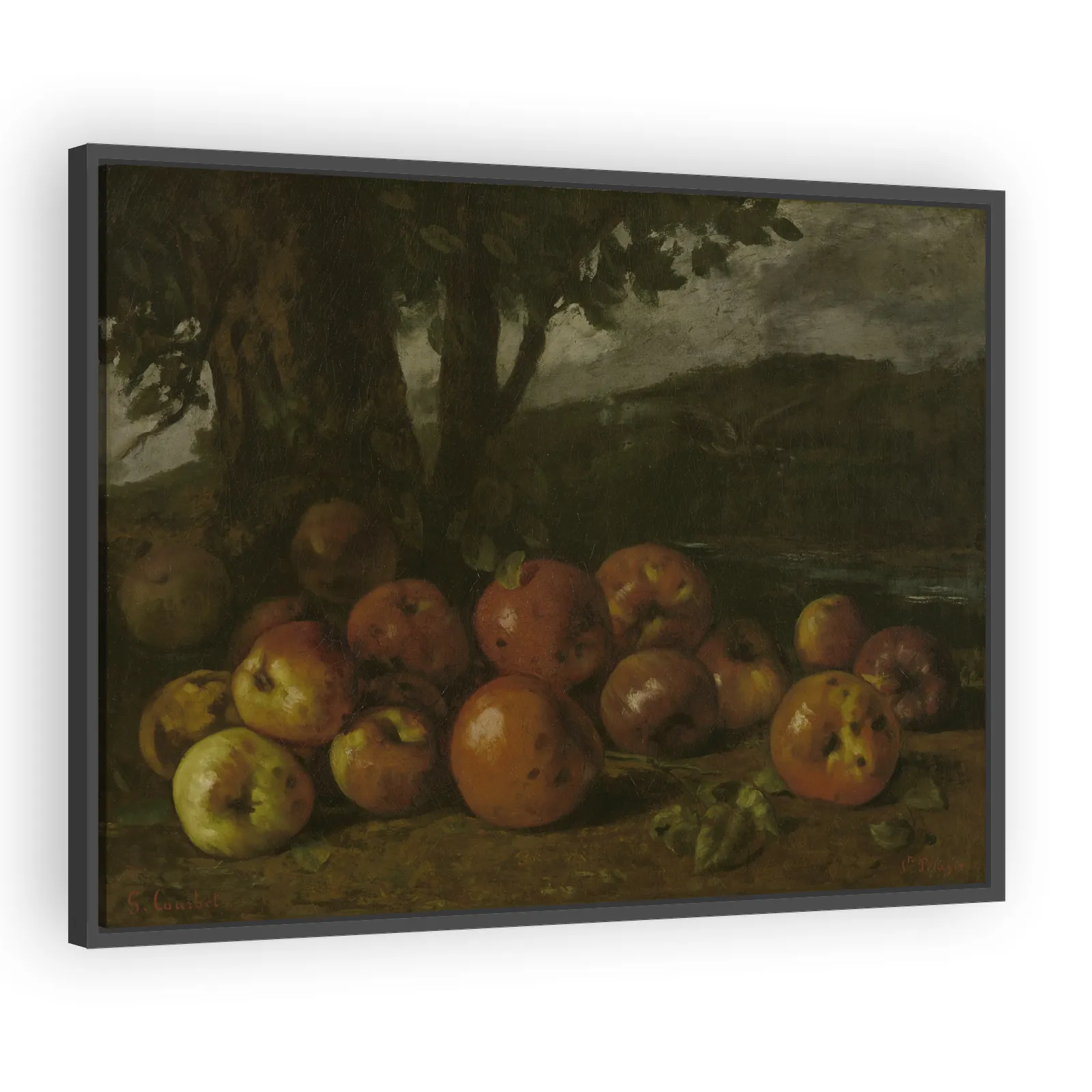 Still Life with Apples by Gustave Courbet